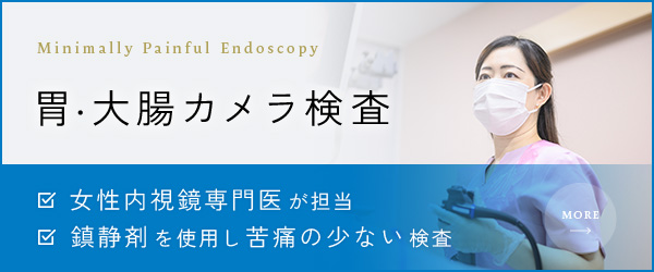 胃・大腸カメラ検査